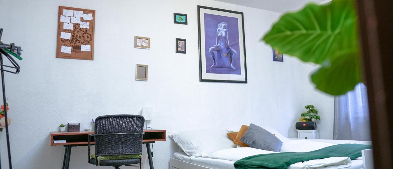 Privatzimmer In Apartment-Gastgeber: Ist Nelson แกลดเบ็ค ภายนอก รูปภาพ